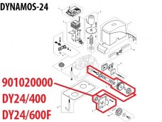 Dynamos24_9010200001